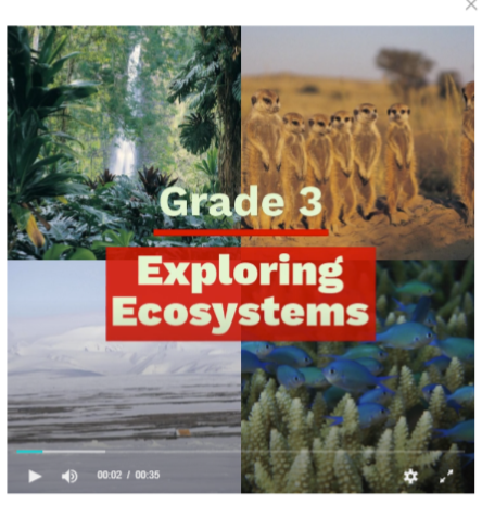Ecosystems Video